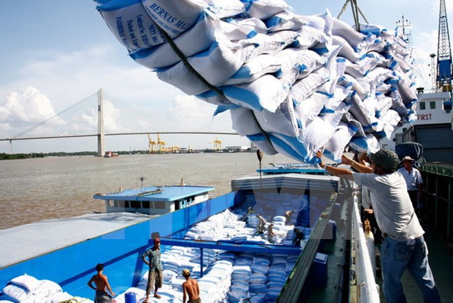 Vietnam extrae parte de reserva de arroz nacional para apoyar a afectados por inundaciones ảnh 1 Vietnam extrae parte de reserva de arroz nacional para apoyar a afectados por inundaciones ảnh 1
