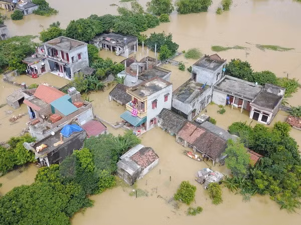 Nueva Zelanda ayuda a Vietnam en adaptación al cambio climático ảnh 1
