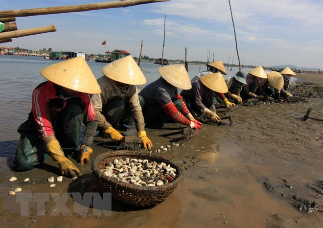Da Nang acelera la preservación de aldeas de pescadores antiguas para disparar el turismo ảnh 1 Da Nang acelera la preservación de aldeas de pescadores antiguas para disparar el turismo ảnh 1