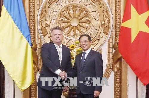 Vietnam y Ucrania realizan consulta política a nivel de vicecanciller ảnh 1