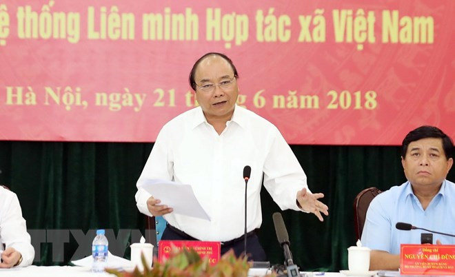 Premier de Vietnam resalta papel de cooperativas en integración global ảnh 1