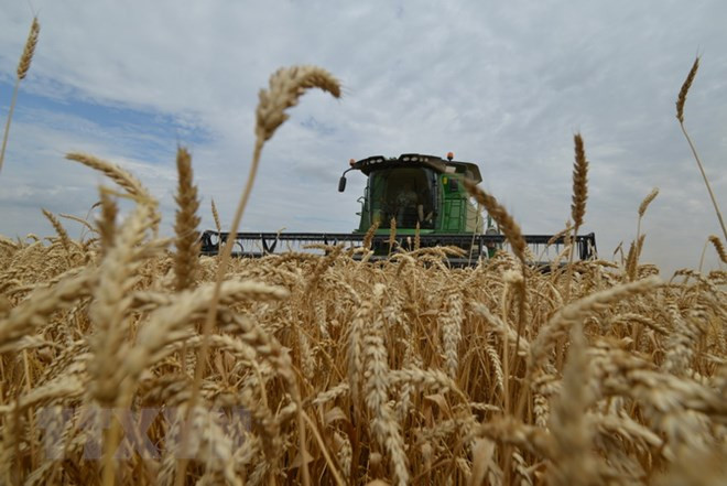 Países sudesteasiáticos analizan ventajas de la agrosilvicultura en garantía de seguridad alimentaria ảnh 1 Países sudesteasiáticos analizan ventajas de la agrosilvicultura en garantía de seguridad alimentaria ảnh 1