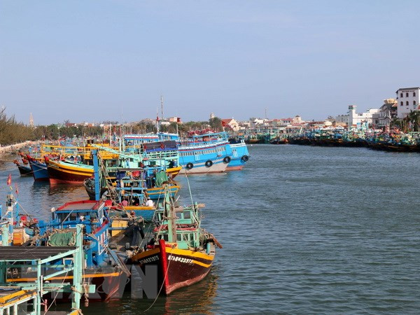 Comisión Europea reconoce esfuerzos de Vietnam contra pesca ilegal ảnh 1 Comisión Europea reconoce esfuerzos de Vietnam contra pesca ilegal ảnh 1