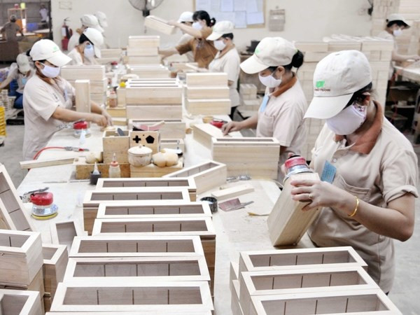 En alza exportaciones silvícolas en Vietnam en primer semestre ảnh 1