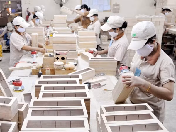 En alza exportaciones silvícolas en Vietnam en primer semestre ảnh 1