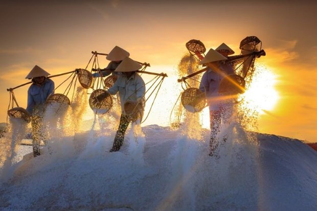Contemplan magnífica belleza de los campos de sal en Ninh Thuan ảnh 1 Contemplan magnífica belleza de los campos de sal en Ninh Thuan ảnh 1