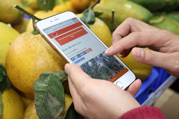 Camino de la economía verde, elección de progreso para Vietnam ảnh 2