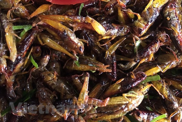 Especialidades culinarias de etnia Thai impresionan a visitantes en Muong Lo ảnh 2 Especialidades culinarias de etnia Thai impresionan a visitantes en Muong Lo ảnh 2