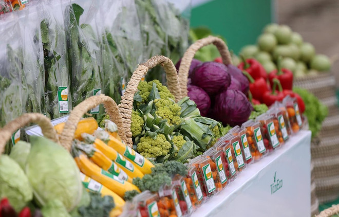 Índice de Precios al Consumidor en Ciudad Ho Chi Minh crece 0,66 por ciento en junio ảnh 1 Índice de Precios al Consumidor en Ciudad Ho Chi Minh crece 0,66 por ciento en junio ảnh 1