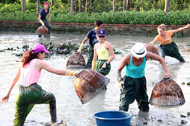 Provincia vietnamita de Quang Ninh apunta a desarrollar el turismo comunitario ảnh 1 Provincia vietnamita de Quang Ninh apunta a desarrollar el turismo comunitario ảnh 1