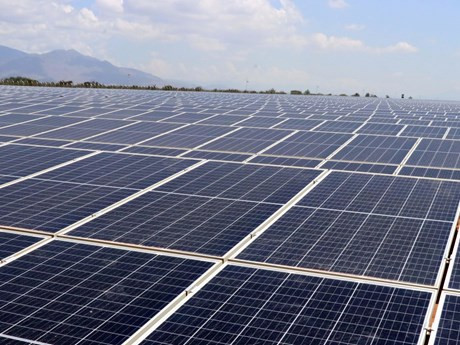 Planta de energía solar de Sharp entrará en operación en Vietnam ảnh 1 Planta de energía solar de Sharp entrará en operación en Vietnam ảnh 1
