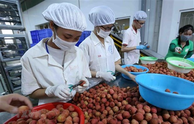 Vietnam y Japón buscan impulsar intercambio comercial ảnh 1 Vietnam y Japón buscan impulsar intercambio comercial ảnh 1