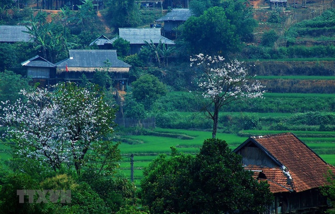 Provincia norvietnamita proyecta recibir más de cinco millones de turistas en etapa 2021-2025 ảnh 1 Provincia norvietnamita proyecta recibir más de cinco millones de turistas en etapa 2021-2025 ảnh 1