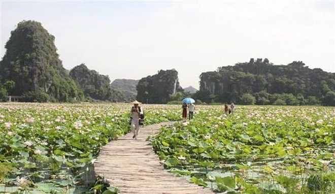 Vietnam busca intensificar medidas para promover el turismo doméstico ảnh 1 Vietnam busca intensificar medidas para promover el turismo doméstico ảnh 1