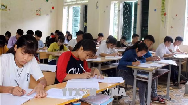 Da Nang instala sistema de cámaras inteligentes en escuelas ảnh 1
