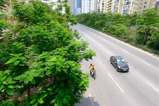 Planean plantar 600 mil árboles en Hanoi este año ảnh 1 Planean plantar 600 mil árboles en Hanoi este año ảnh 1
