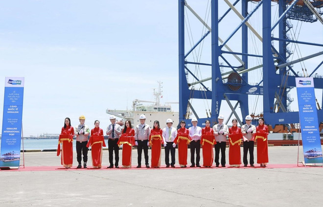 Doosan Vina entrega dos gigantescas grúas a puerto internacional de Gemalink ảnh 1