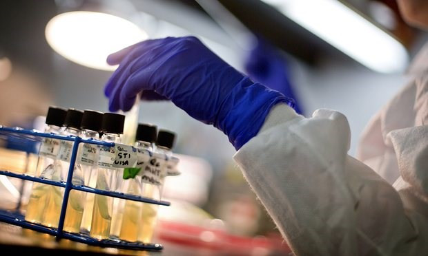 Vietnam actúa contra la resistencia a los antibióticos ảnh 1 Vietnam actúa contra la resistencia a los antibióticos ảnh 1