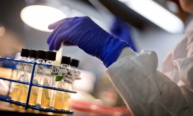 Vietnam actúa contra la resistencia a los antibióticos ảnh 1 Vietnam actúa contra la resistencia a los antibióticos ảnh 1