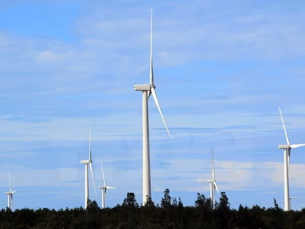 Buscan desarrollar la energía eólica en Vietnam ảnh 1 Buscan desarrollar la energía eólica en Vietnam ảnh 1