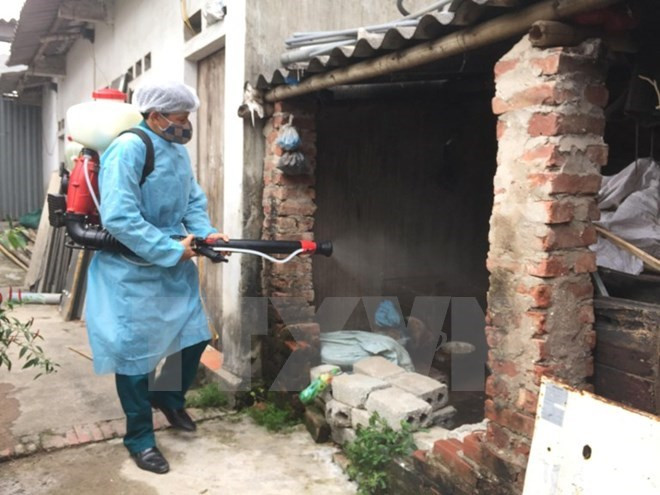 Hanoi refuerza medidas para prevenir propagación del dengue ảnh 1 Hanoi refuerza medidas para prevenir propagación del dengue ảnh 1