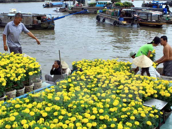 Promueven cooperación entre ciudad vietnamita de Can Tho y Japón ảnh 1