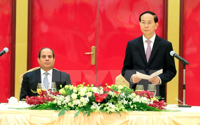 Presidente de Vietnam aprecia relación con Egipto ảnh 1