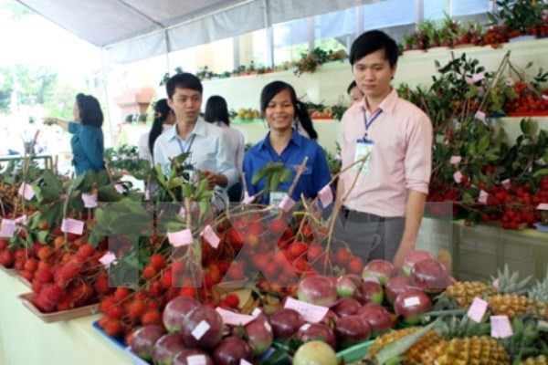 Vietnam aumenta importaciones de frutas y vegetales ảnh 1 Vietnam aumenta importaciones de frutas y vegetales ảnh 1