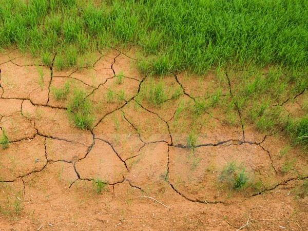 Reitera Vietnam compromiso de reforzar conservación medioambiental ảnh 1 Reitera Vietnam compromiso de reforzar conservación medioambiental ảnh 1