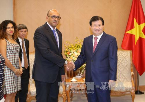 Vicepremier vietnamita aboga por promover eficiencia de mecanismos de cooperación con Cuba ảnh 1