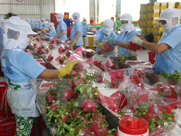 Vietnam y Laos impulsan cooperación en agricultura ảnh 1 Vietnam y Laos impulsan cooperación en agricultura ảnh 1