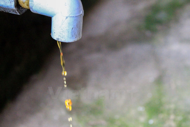 [Fotos] Aldea de producción de salsa de pescado en Thanh Hoa, Vietnam ảnh 2