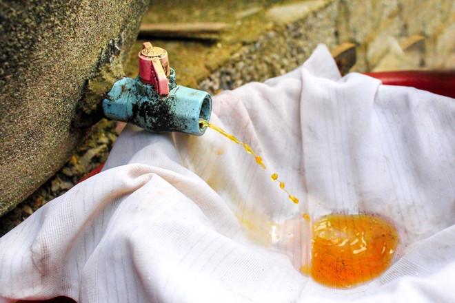 [Fotos] Aldea de producción de salsa de pescado en Thanh Hoa, Vietnam ảnh 3