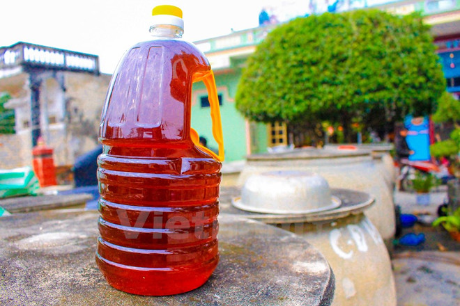 [Fotos] Aldea de producción de salsa de pescado en Thanh Hoa, Vietnam ảnh 5