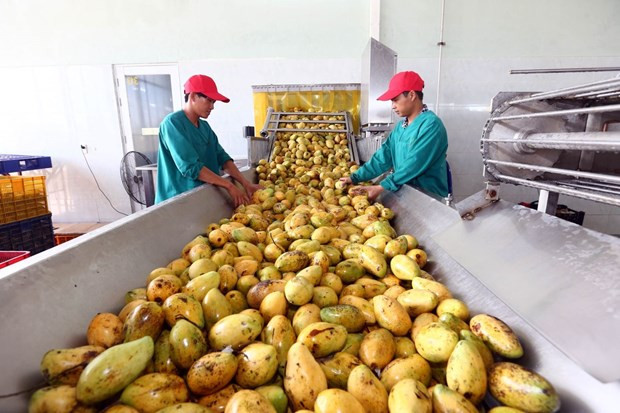Ciencia y tecnología contribuyen a los avances agrícolas de Vietnam ảnh 2 Ciencia y tecnología contribuyen a los avances agrícolas de Vietnam ảnh 2