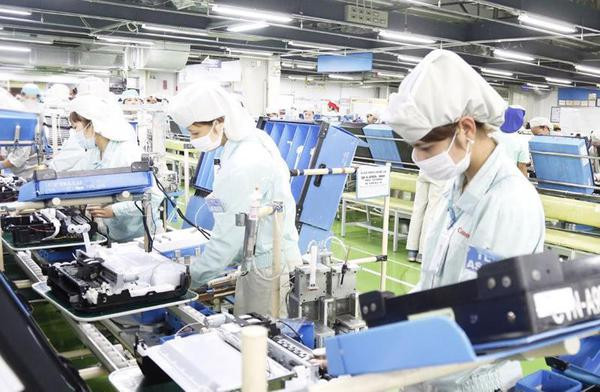 Visita a Vietnam de premier holandés llevará nexos bilaterales a nueva altura ảnh 2 Visita a Vietnam de premier holandés llevará nexos bilaterales a nueva altura ảnh 2