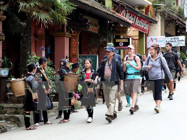 Crece llegada de turistas a Vietnam ảnh 1