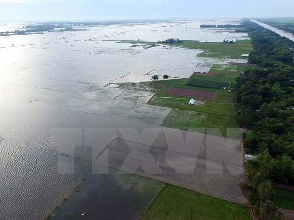 Construirán centro de datos ambientales en Delta de Mekong ảnh 1