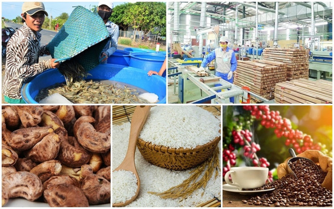Gobierno vietnamita ayuda a industria de acuicultura a superar dificultades ảnh 2 Gobierno vietnamita ayuda a industria de acuicultura a superar dificultades ảnh 2