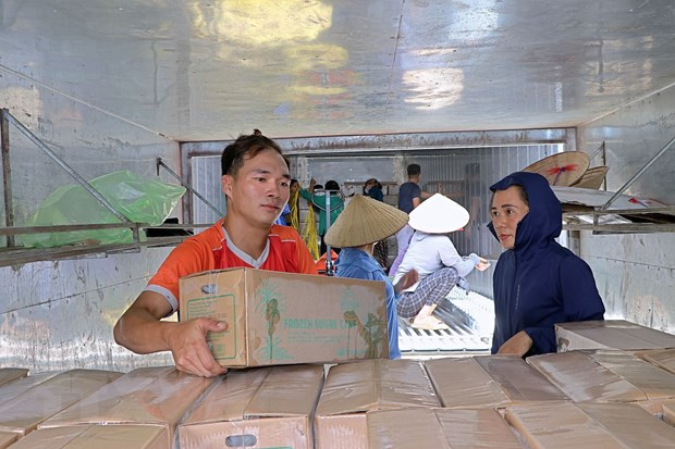 Provincia vietnamita exporta segundo lote de caña de azúcar fresca a EE.UU. ảnh 1 Provincia vietnamita exporta segundo lote de caña de azúcar fresca a EE.UU. ảnh 1