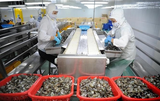 Inversión pública impulsará crecimiento duradero en Vietnam, según organizaciones internacionales ảnh 1