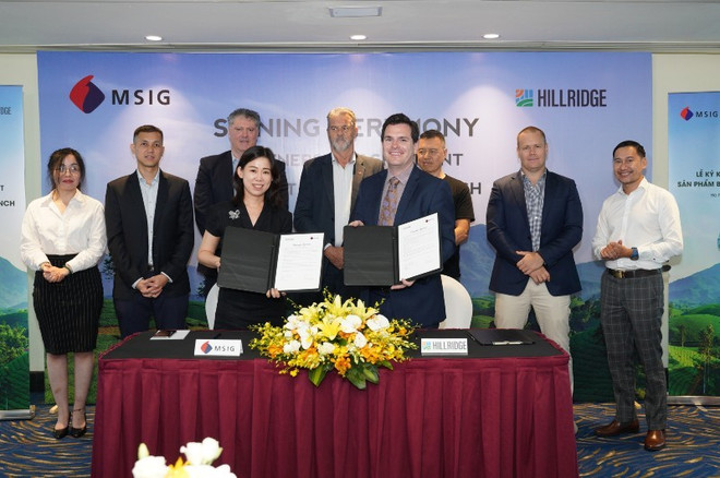 Empresas australiana y japonesa brindan seguros contra sequía en Vietnam ảnh 1