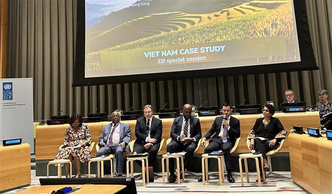 Reiteran consideración al PNUD como socio importante de Vietnam ảnh 1 Reiteran consideración al PNUD como socio importante de Vietnam ảnh 1