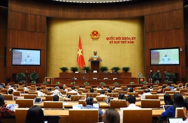 Asamblea Nacional de Vietnam continúa sus debates de leyes ảnh 2
