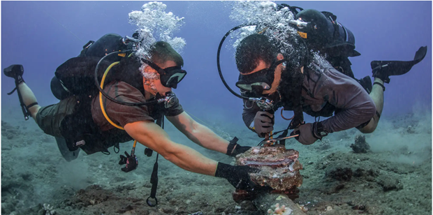 Reparación de cables submarinos mejora calidad de Internet en Vietnam ảnh 1 Reparación de cables submarinos mejora calidad de Internet en Vietnam ảnh 1