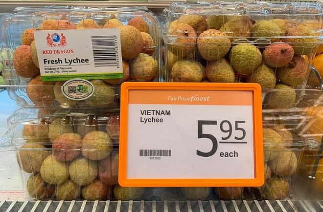 Vietnam busca mejorar cuota de lichi y longan en mercado de Singapur ảnh 1 Vietnam busca mejorar cuota de lichi y longan en mercado de Singapur ảnh 1