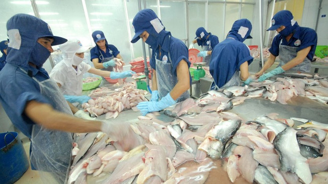Países de ASEAN aumentan importaciones de pescado Tra de Vietnam ảnh 1