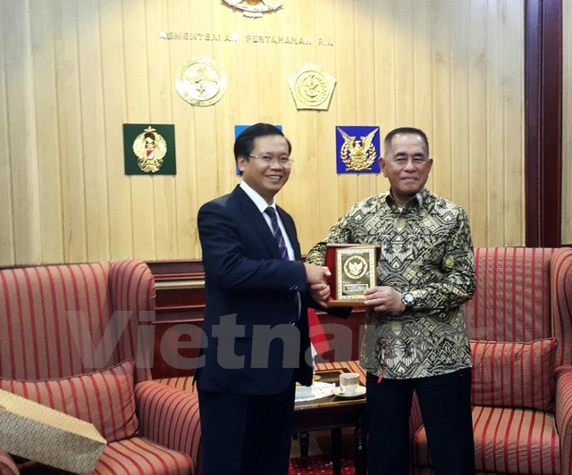 Cooperación de defensa, pilar clave de asociación estratégica Vietnam - Indonesia ảnh 1 Cooperación de defensa, pilar clave de asociación estratégica Vietnam - Indonesia ảnh 1