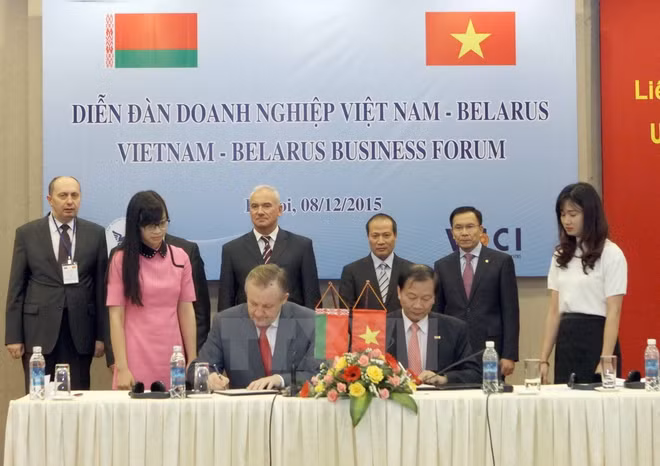 Empresas de Vietnam y Bielorrusia buscan oportunidades de inversión ảnh 1