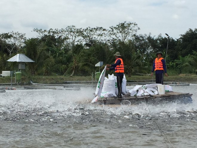 Foro de Cooperación Económica del Delta de Mekong tendrá lugar en julio ảnh 1 Foro de Cooperación Económica del Delta de Mekong tendrá lugar en julio ảnh 1